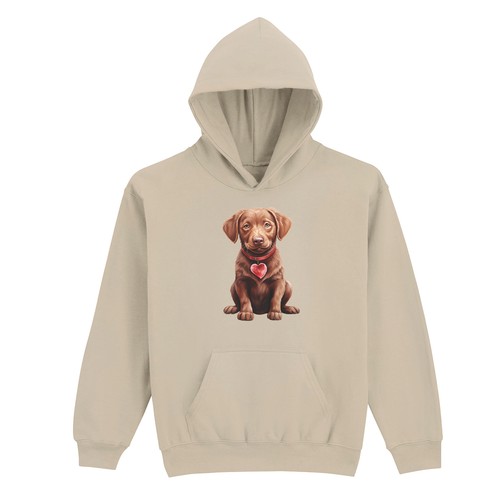 Chocolate labrador puppy with - puppy,