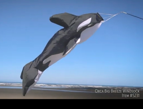 Windsock orca ocean - 78",