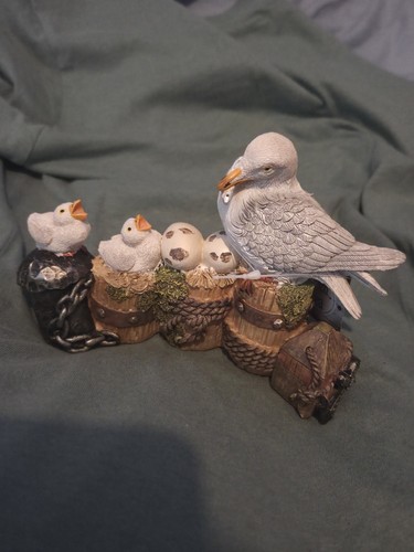 Green sea seagull chicks - sea, &