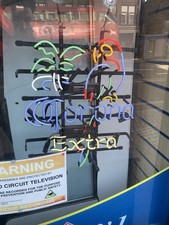 Corona Extra Parrot Palm Tree