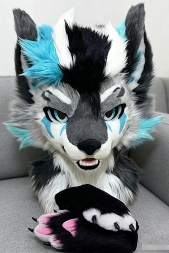 Fursuit long fur husky fox - husky,