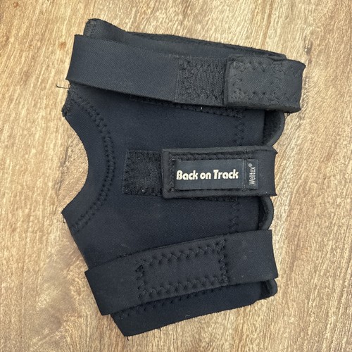 Back track horse - track,