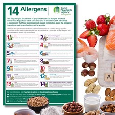 14 food allergens allergy
