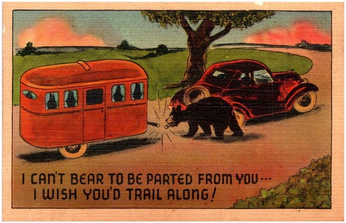 Humor camper van - van,, bear