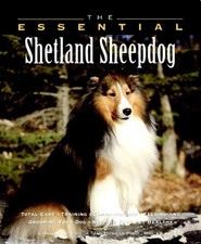 The Essential Shetland