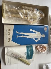 Models for acupuncture, book and posters