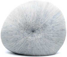 Handmade Artistic Porcelain