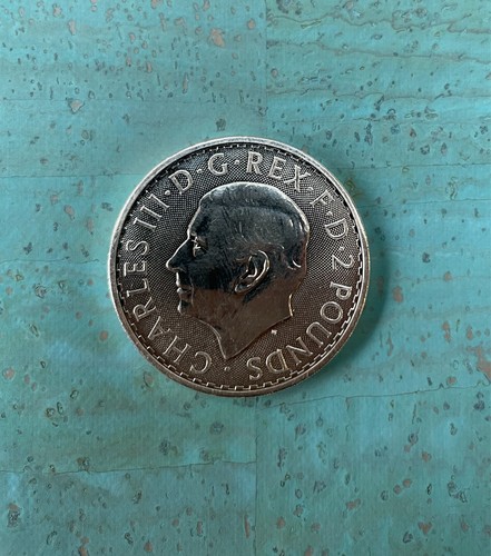 Silver britannia coin - ,