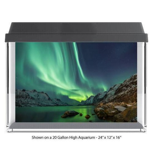 Aurora borealis lights - aurora,