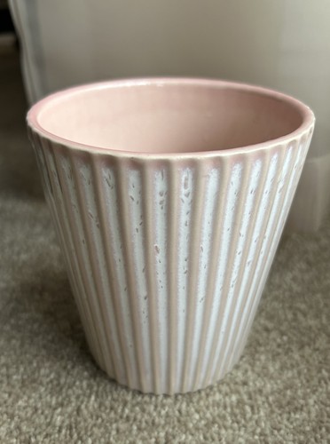Grey pink ribbed plant - ribbed, pot