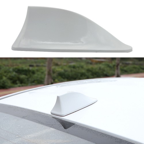 White shark fin roof - shark,