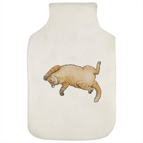 Chubby ginger cat hot water - ginger,