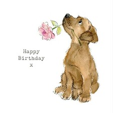 Dog birthday card quality - dog,