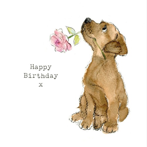Dog birthday card quality - dog,