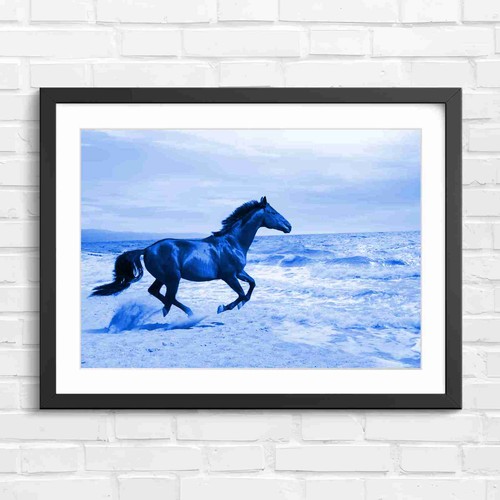 Running horse beach - running, coast