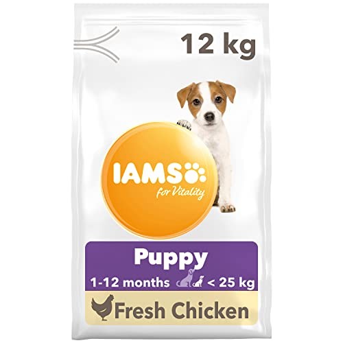 Puppy small medium dry dog - dry,