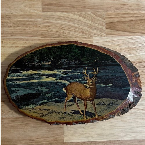 Vintage milo maine buck deer - maine,