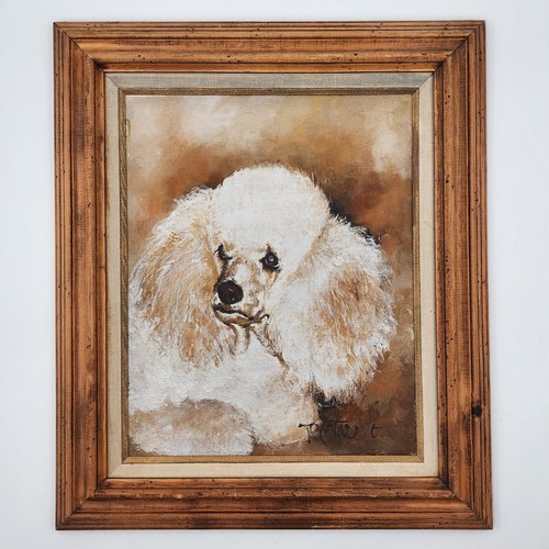 Vintage white poodle - white, dog
