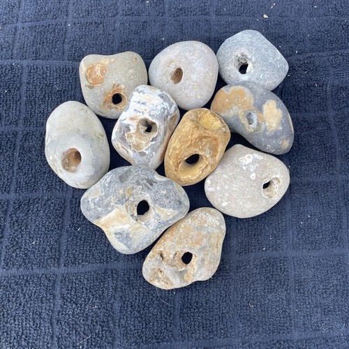 Ten medium size natural - medium,