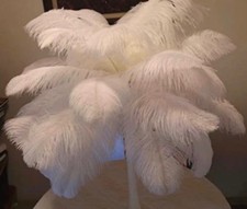 30 White Ostrich Feathers 30 Pcs / 20-25cm