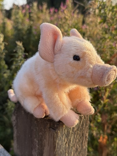 Adorable living nature - 🐷,