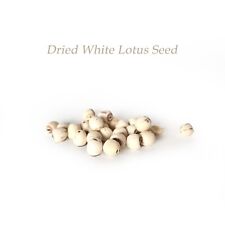 Dried Lotus Seeds/Bai Lian Zi/