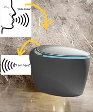 Advanced SMART TOILET Voice