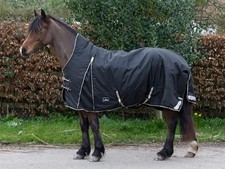 Cameo Equine 6’0  250gm Half
