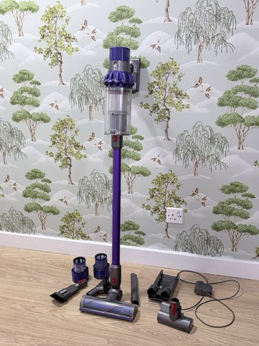 Dyson cyclone v10 animal - cyclone,