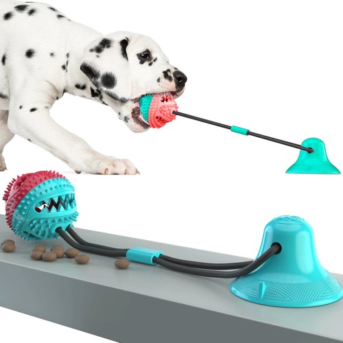 Dog bordem tug war ball - dog,