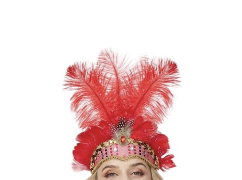 Carnival feather headpiece - feather,