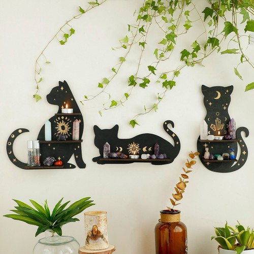 Pack cat display - pack, shelf