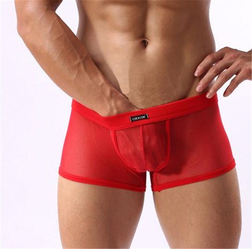 Sexy men see through boxer - sexy, see-through