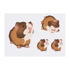 4 x 'Adorable Baby Guinea Pig'