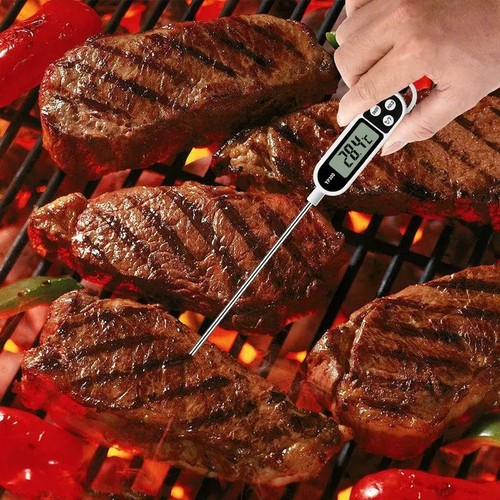 Digital meat food temperature - meat,