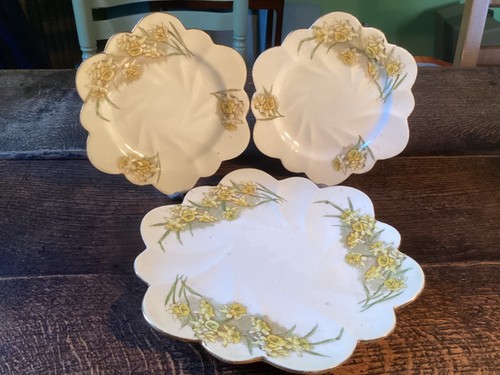 Antique chapman daffodil - antique,