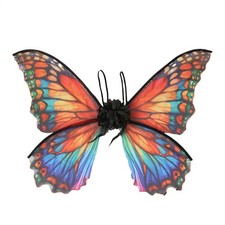 Fairy Wings For Girls