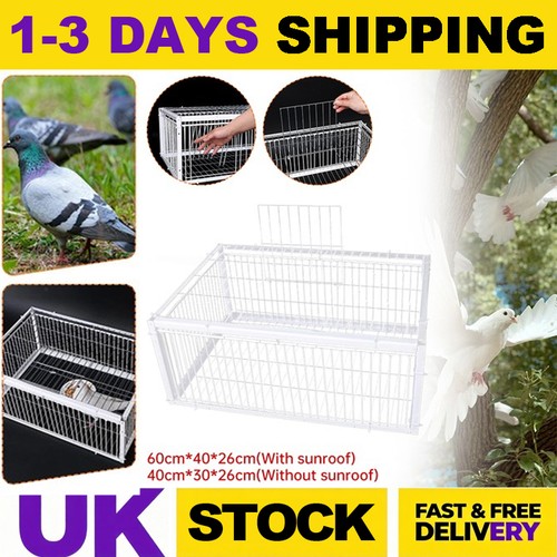 Pigeon trap cage single way - trap,