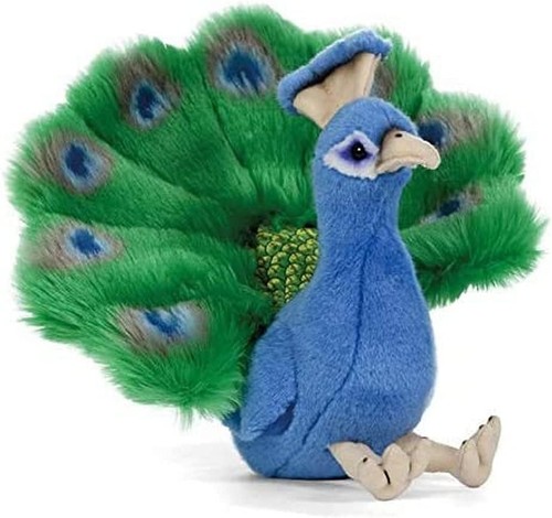 Living nature peacock - nature,