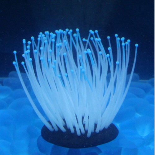 Silicone sea anemone plant - anemone,
