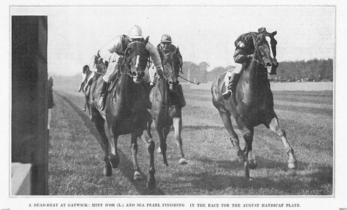 Horse racing august handicap - horse,