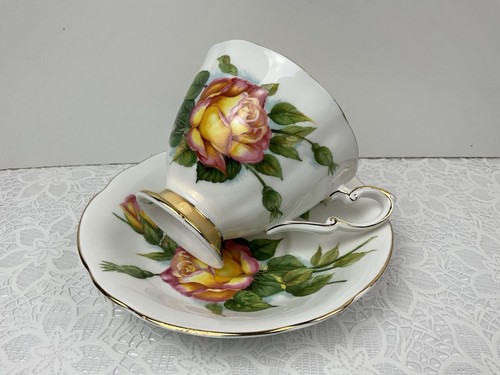 Paragon six world famous roses - world,