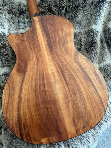 Taylor 314ce ltd spring - taylor,