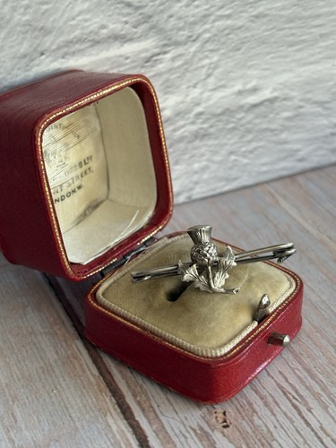 Vintage scottish thistle - scottish,