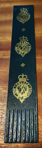 Crufts dog show - show, green