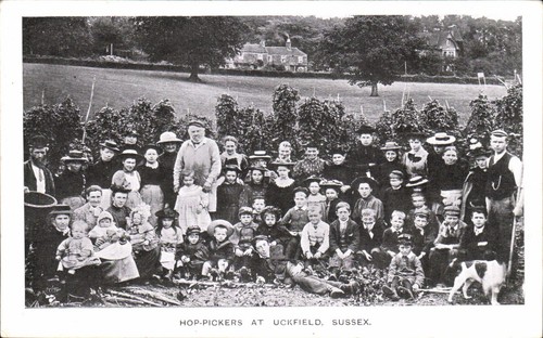 Uckfield hop pickers - uckfield., at