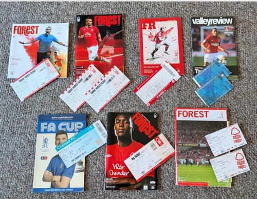 Nottingham forest football - forest,