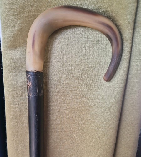 Antique walking stick - antique,