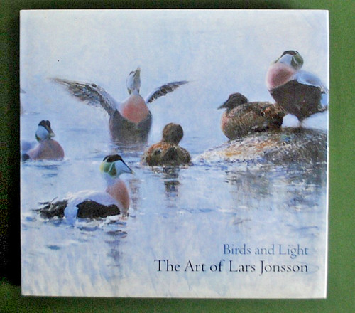 Birds and light lars - light,