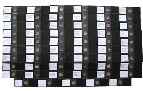 Palaeozoic microfossil - 59,